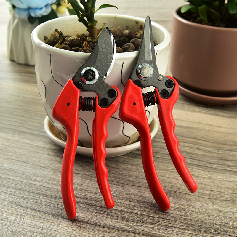 Ψαλίδι κλαδέματος HDL SK5 Κλαδευτήριο Sharp Εργαλεία συλλογής καρπών Κόφτες κλαδιών δέντρων Ψαλίδια λουλουδιών Κλαδευτήρια εμβολιασμού Εργαλείο κηπουρικής