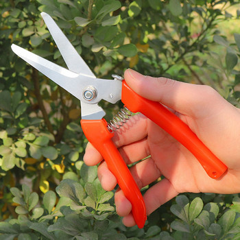 Ψαλίδια κλαδέματος Pruner Orchard and The Garden Hand Tools Bonsai For Scissors Gardening Machine Chopper Brush Cutter Professional