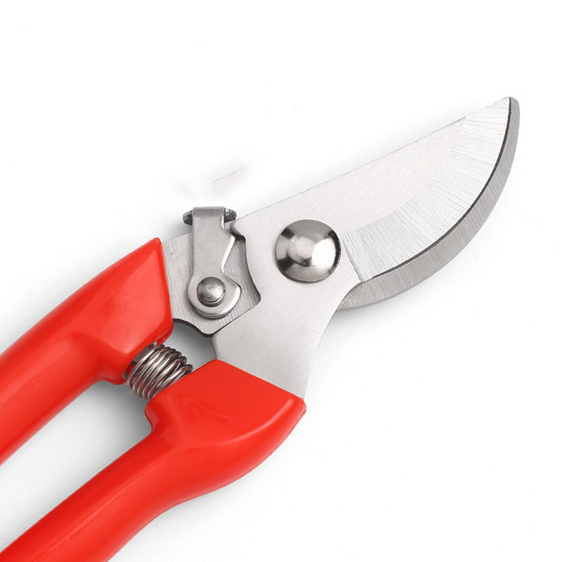 Metszőolló Metszőolló Gyümölcsös és kerti Kéziszerszámok Bonsai ollóhoz Kertészeti gép Aprító Bozótvágó Professzionális