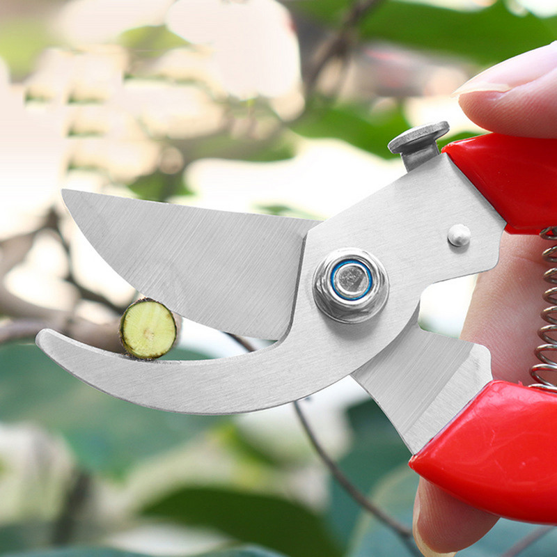 Metszőolló Metszőolló Gyümölcsös és kerti Kéziszerszámok Bonsai ollóhoz Kertészeti gép Aprító Bozótvágó Professzionális