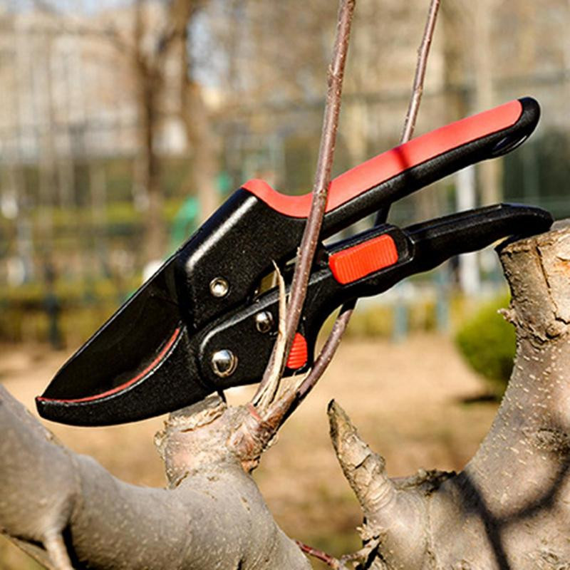 Atzarošanas šķēres Dārza šķērveida augu trimeris rīks potēšanas rīks Dārza piederumi Augļu dārza atzarošanas šķēres augu griešanai