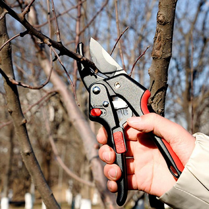 Atzarošanas šķēres Dārza šķērveida augu trimeris rīks potēšanas rīks Dārza piederumi Augļu dārza atzarošanas šķēres augu griešanai