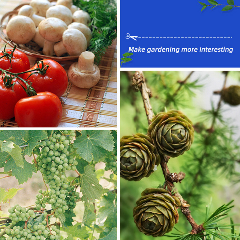 Trimer za vrtlarstvo Vrtne škare za rezidbu Vrtni alati Škare Rezači Voćke Branje korova Rezač grana u saksijama