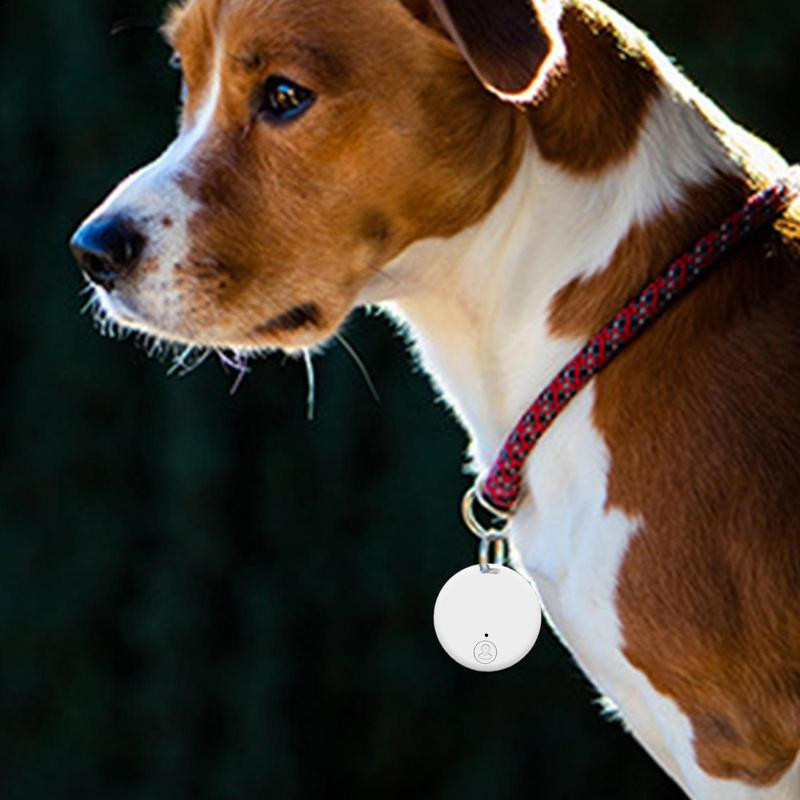 „Smart Mini GPS Tracker“ naminių gyvūnėlių sekimo įrenginys Lengvas, greitas vietos nustatymas, apsaugantis nuo pamestų raktų ieškiklio GPS žymos, suderinamos su „iOS Android“