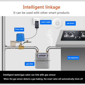 Tuya WiFi ZigBee Smart βαλβίδα διαρροής αερίου νερού ON/OFF Αυτόματος έλεγχος Αντίστροφη μέτρηση Βαλβίδα χρονοδιακόπτη λειτουργεί με την Alexa Google Home Smart Life