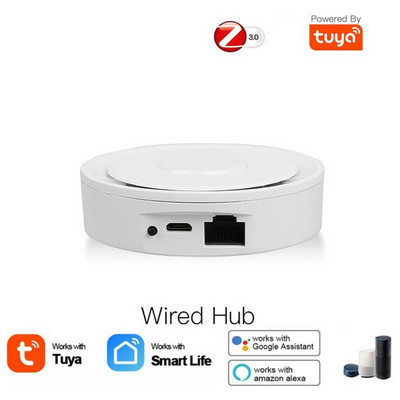 Homekit Zigbee Gateway Hub Tuya Smart Home Bridge Smart Life APP tālvadības pults balss Alexa Google Automation Residential