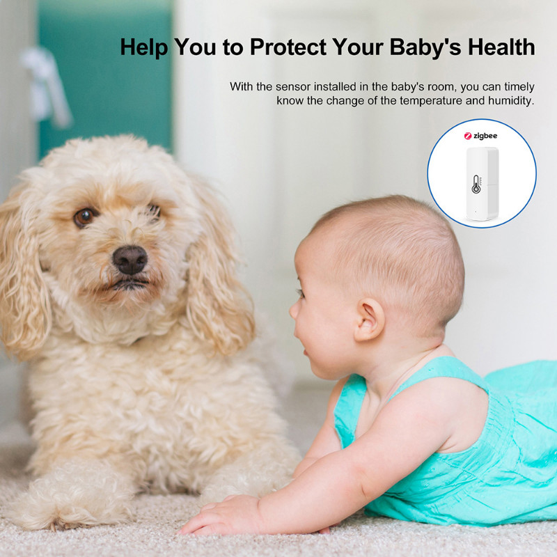 Nutikas temperatuuri- ja niiskusandur WiFi APP Kaugmonitor nutika kodu jaoks või SmartLife WorkWith Alexa Google Assistantiga