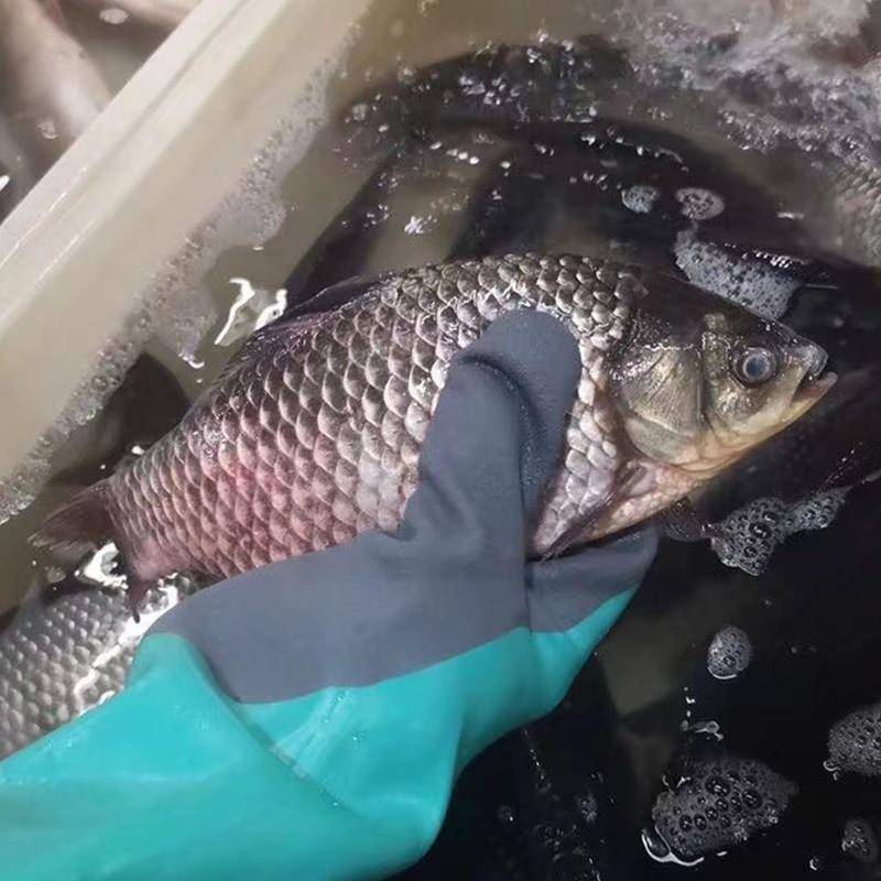 Újrafelhasználható, nagy igénybevételre alkalmas munkavédelmi kesztyűk, sav, munkavédelmi kopásálló, csúszásgátló és vágásgátló gumikesztyűk