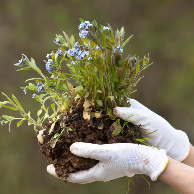 6 poros darbo pirštinės, atsparios pjaustymui, CE EN388 PU, poliesterio mechanikas, remonto, apsauginių pirštinių, alyvai atsparios antistatinės IT naudojimo darbo pirštinės