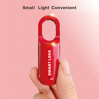 Мини катинар с пръстови отпечатъци Smart Touch Fingerprint Door Lock USB Keyless Anti Theft Lock For Travel Case Drawer Cabinet Lock