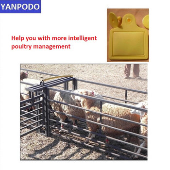 Yanpodo ISO18000-6C проследяване на добитък животински ушна марка електронен говеда овце прасета крави етикет дълга RFID UHF животинска ушна марка