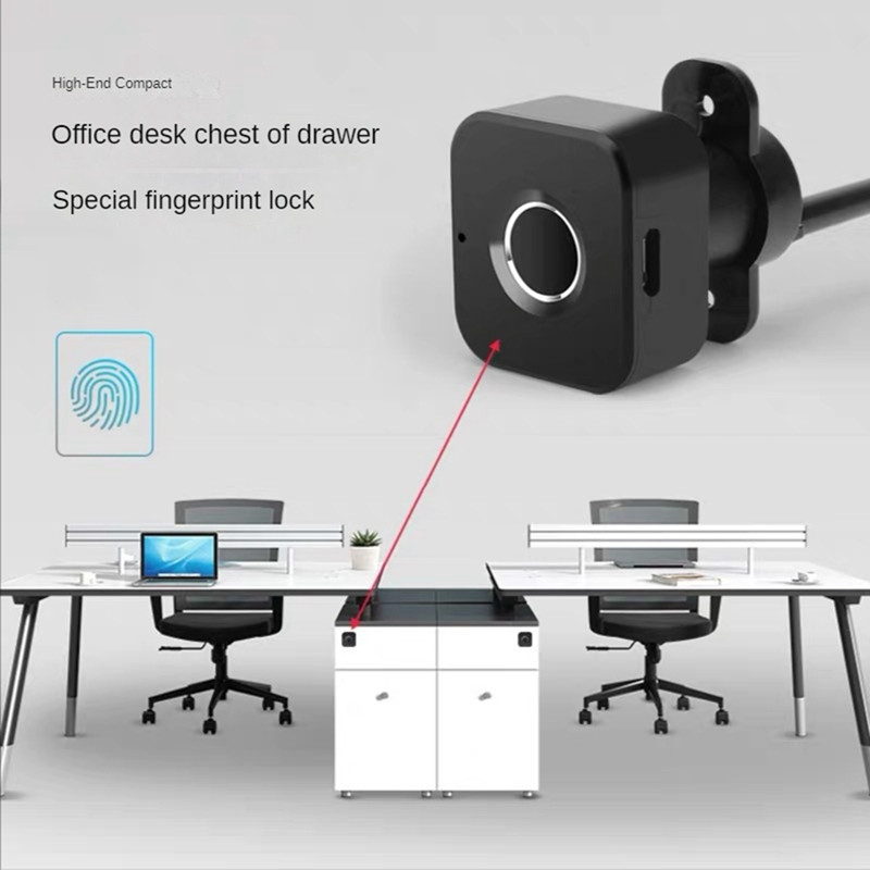 Nešiojamasis biometrinis pirštų atspaudų užraktas, privatumo failų saugykla, beraktė elektroninė užrakta, gyvenamųjų namų apsaugos apsauga