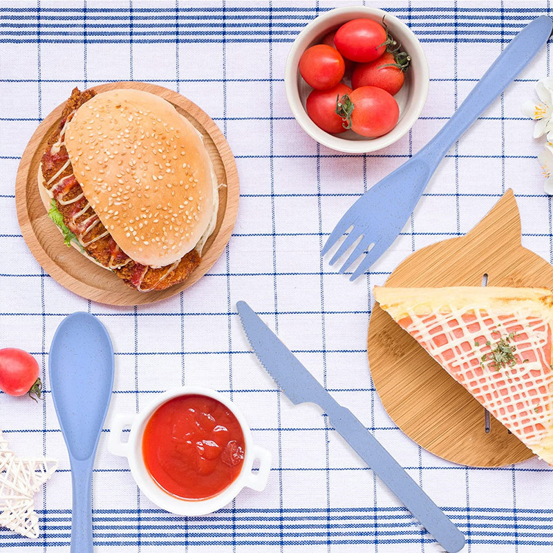 Kaasaskantav plastikust reisisöögiriistade komplekt koos ümbrisega matkapikniku jaoks Korduvkasutatavad lusikakahvlite komplektid väligrillidele Cartravel lauanõude jaoks