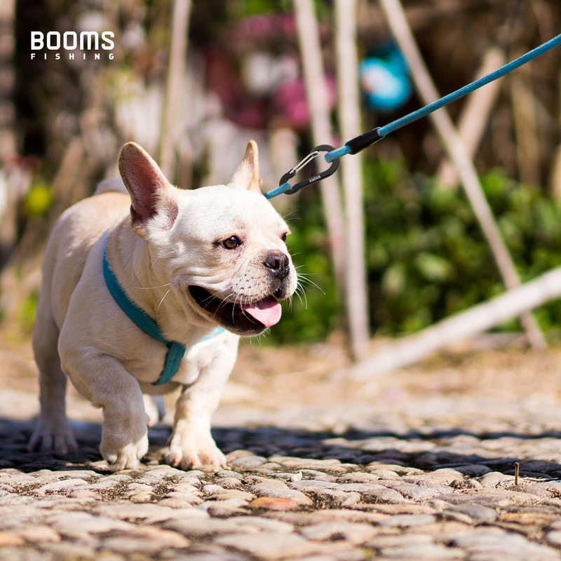 Booms Fishing CC5 10Gb.