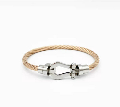 Nerūsējošā tērauda pakava mezgls, kabeļa stieples ķēde, pīta rokassprādze, rokassprādze Zelta sudraba rozes zelta pārklājuma daudzpusīga rotaslieta pāriem