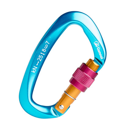 25KN Professional Climbing Carabiner D Shape Mountaineering Caving Rock Safety Lock Αξεσουάρ εξοπλισμού αναρρίχησης εξωτερικού χώρου