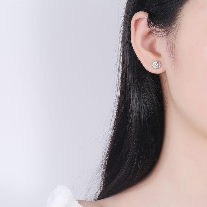 Egyszerű és divatos állatok szárnyaló sas fülbevalók varázslatos fülbevalók férfiaknak és nőknek Hip-hop trendi ékszerek