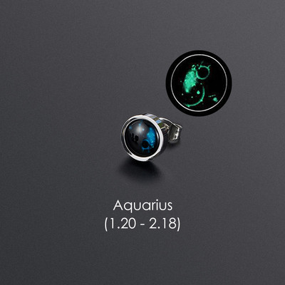 1gab 12 Constellation Stud Auskars Vīriešiem Sievietēm Titāna Tērauda Gaismas Auskars Hiphop Rock Modes rotaslietas Britu dienas dāvana