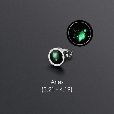 1gab 12 Constellation Stud Auskars Vīriešiem Sievietēm Titāna Tērauda Gaismas Auskars Hiphop Rock Modes rotaslietas Britu dienas dāvana