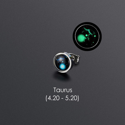 1gab 12 Constellation Stud Auskars Vīriešiem Sievietēm Titāna Tērauda Gaismas Auskars Hiphop Rock Modes rotaslietas Britu dienas dāvana