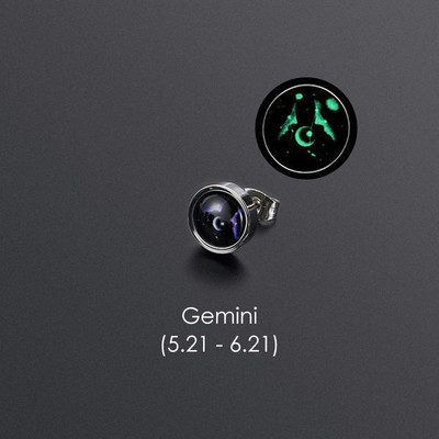 1gab 12 Constellation Stud Auskars Vīriešiem Sievietēm Titāna Tērauda Gaismas Auskars Hiphop Rock Modes rotaslietas Britu dienas dāvana