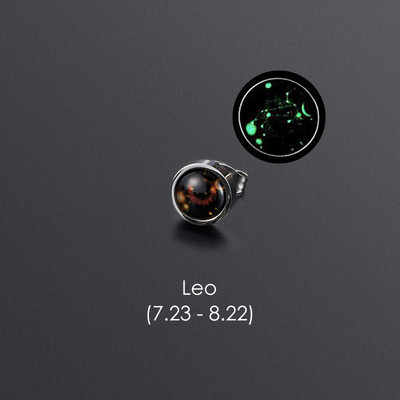 1gab 12 Constellation Stud Auskars Vīriešiem Sievietēm Titāna Tērauda Gaismas Auskars Hiphop Rock Modes rotaslietas Britu dienas dāvana