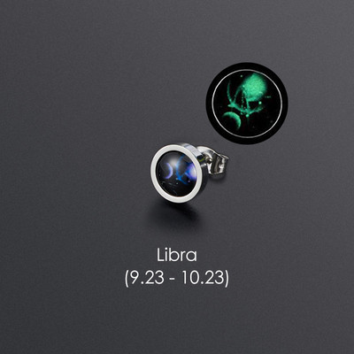 1gab 12 Constellation Stud Auskars Vīriešiem Sievietēm Titāna Tērauda Gaismas Auskars Hiphop Rock Modes rotaslietas Britu dienas dāvana