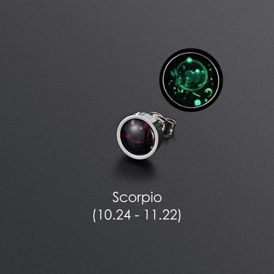 1gab 12 Constellation Stud Auskars Vīriešiem Sievietēm Titāna Tērauda Gaismas Auskars Hiphop Rock Modes rotaslietas Britu dienas dāvana