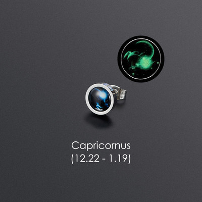 1gab 12 Constellation Stud Auskars Vīriešiem Sievietēm Titāna Tērauda Gaismas Auskars Hiphop Rock Modes rotaslietas Britu dienas dāvana