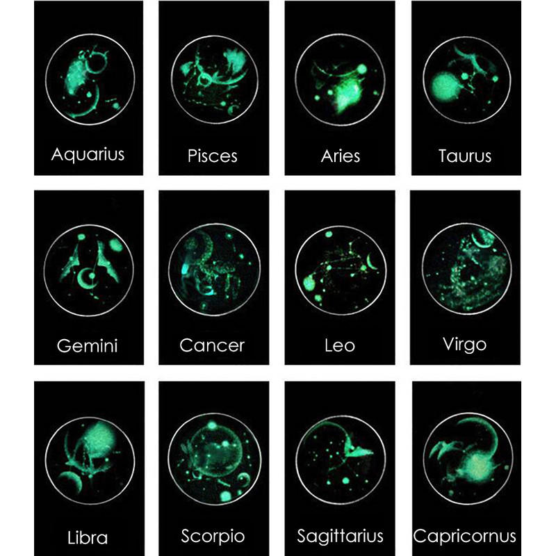 1gab 12 Constellation Stud Auskars Vīriešiem Sievietēm Titāna Tērauda Gaismas Auskars Hiphop Rock Modes rotaslietas Britu dienas dāvana