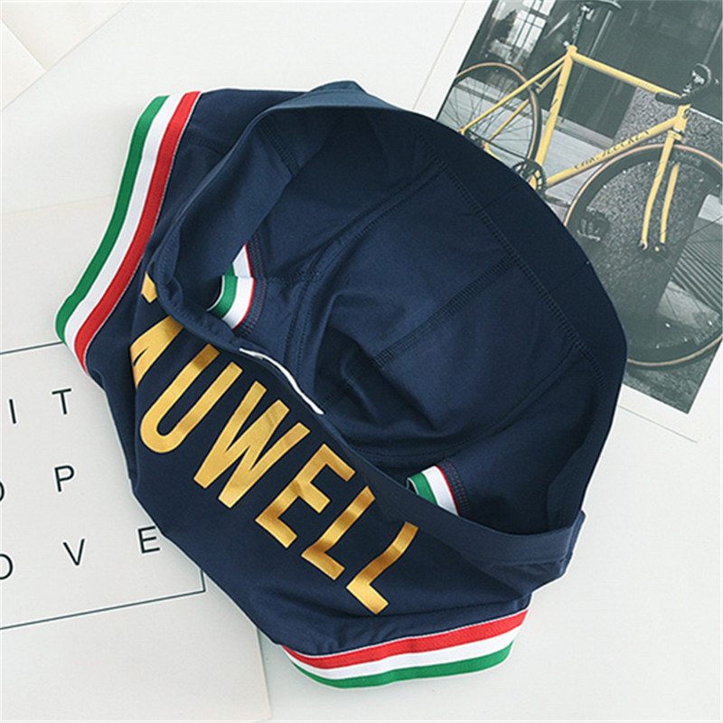 Karštas išpardavimas, 2023 m. Medvilniniai vyriški apatiniai apatiniai apatiniai drabužiai, vyriški apatiniai apatiniai kelnaitės, vyriški bokseriai, ilgas bokseris Freegun