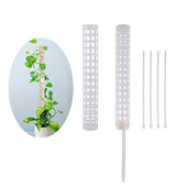 Augalų laipiojimo rėmas Sukraunamas augalų samanų pagaliukas Tuščiavidurio dizaino samanų stulpas vazoniniai augalai Laipiojimo atraminė lazda sodo kuolas