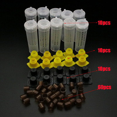 1 komplekts Bites Instrumenti Būri Karaļa karalienes audzināšanas krūzīšu komplekts Bišu biškopības ķērājs Kaste Šūnu krūzes Būris Nicot pilns komplekts Apicultur