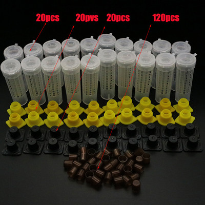 1 komplekts Bites Instrumenti Būri Karaļa karalienes audzināšanas krūzīšu komplekts Bišu biškopības ķērājs Kaste Šūnu krūzes Būris Nicot pilns komplekts Apicultur