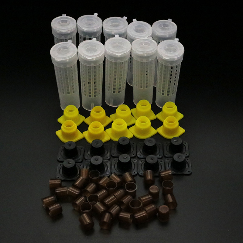 1 komplekts Bites Instrumenti Būri Karaļa karalienes audzināšanas krūzīšu komplekts Bišu biškopības ķērājs Kaste Šūnu krūzes Būris Nicot pilns komplekts Apicultur