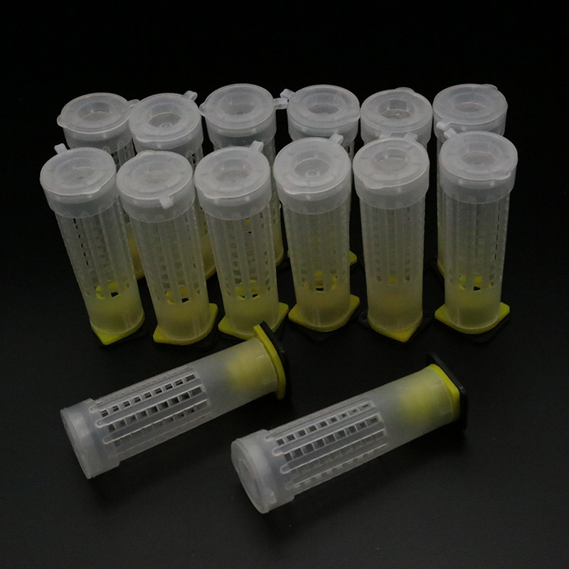 1 komplekts Bites Instrumenti Būri Karaļa karalienes audzināšanas krūzīšu komplekts Bišu biškopības ķērājs Kaste Šūnu krūzes Būris Nicot pilns komplekts Apicultur