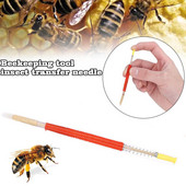 5 vnt. bitininkystės skiepijimo įrankis Bičių karalienės lervos bitininkystės ištraukiama skiepijimo įranga Nauji reikmenys