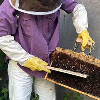 Голям размер 1 чифт пчеларски ръкавици от овча кожа и плат, дишаща материя, дълги ръкави за пчеларство, пчеларство, анти-пчела