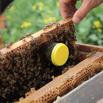 2PCS Beekeeping Queen Bee Cage King Cells Cages Cell Tools Тип игла Стоманен улов за улавяне на пчели Консумативи за оборудване Пчеларство