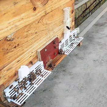Εργαλεία κιτ μελισσοκομίας Πλαστικό Αποτρέπει τη διαφυγή της βασίλισσας Πολυλειτουργικός ταξινομητής πόρτας φωλιάς Italian Bee Harvester Anti-running