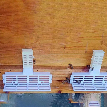Пчеларски комплект Инструменти Пластмаса Предотвратява бягството на пчелната кралица Мултифункционален Сортировач за врата на гнездо Италиански пчелен комбайн против бягане