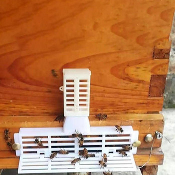 Εργαλεία κιτ μελισσοκομίας Πλαστικό Αποτρέπει τη διαφυγή της βασίλισσας Πολυλειτουργικός ταξινομητής πόρτας φωλιάς Italian Bee Harvester Anti-running