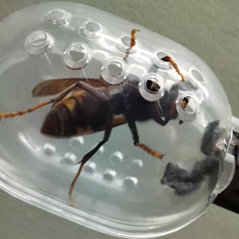 1 vnt. Bitininko plastikinis karalienės narvelio segtukas Bičių gaudyklė Bitininkystės įrankių įranga Bitininko įranga „Pasidaryk pats“ terasos ir sodo įrankiai