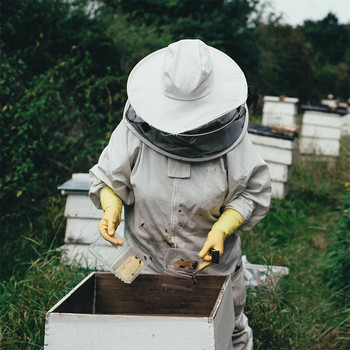 Вентилиран с воал качулка Домашно облекло против пчели Пчеларски костюм Шапка Цяло тяло Защитно облекло за пчелар Цип за начинаещи