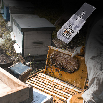 4 τμχ Bees Queen Post Κλουβί Λευκό Κλουβιά μεταφοράς μελισσοκομίας Κίτρινο Πλαστικό King Prisoner Συσκευή Μελισσοκομίας Queen Bee Cage