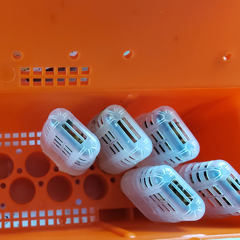 Μελισσοκομία Bee Catcher Bee Moving Isolator Protection θήκη Εξοπλισμός εκτροφής Βασίλισσας Μελισσών Θερμοκοιτίδα κυττάρων βασίλισσας μελισσών