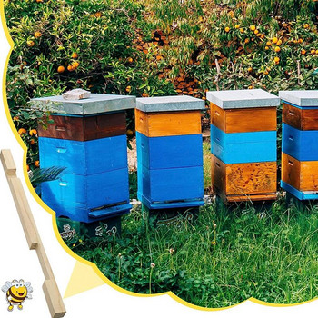 Μειωτής εισόδου Ξύλο Μελισσοκομική Κυψέλη Μειωτήρας Εισόδου Μελισσοκομική Κυψέλη Ξύλο Μειωτήρας εισόδου & Φύλακες ποντικιού