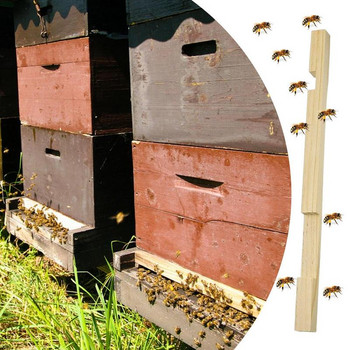 Μειωτής εισόδου Ξύλο Μελισσοκομική Κυψέλη Μειωτήρας Εισόδου Μελισσοκομική Κυψέλη Ξύλο Μειωτήρας εισόδου & Φύλακες ποντικιού