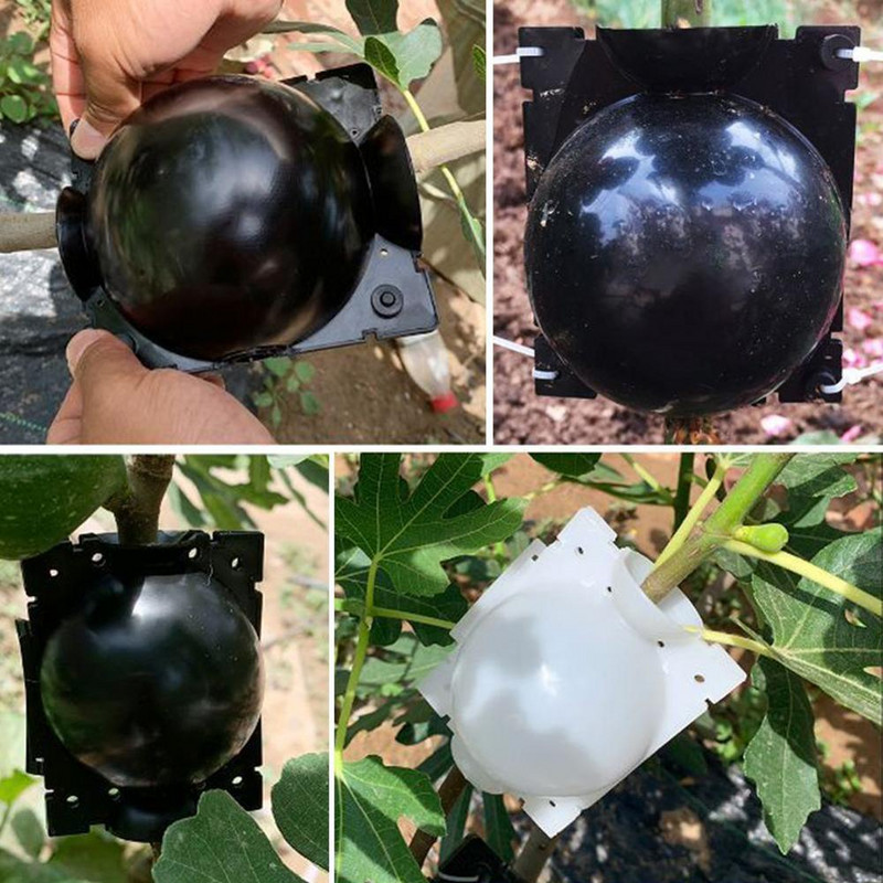 5 τμχ επαναχρησιμοποιήσιμη μπάλα ριζοβολίας φυτών με υποβοηθούμενη κοπή ριζοβολίας Μπάλα πολλαπλασιασμού υψηλής πίεσης για αναπαραγωγή στον κήπο