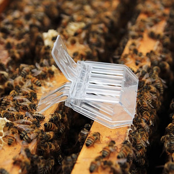Прозрачна кралица Bee Trap Пластмасова безцветна клетка с щипка за улавяне на пчели Дишаща стая за изолация Инструмент за улавяне на пчеларство